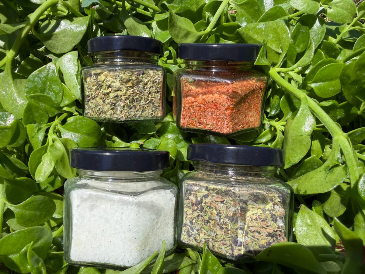 Kolekcija soli — četiri teglice Baka Garden soli